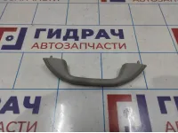 Ручка внутренняя потолочная Renault Logan 2 8200845691