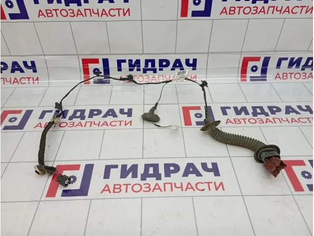 Проводка двери задней Renault Logan 2 241261266R