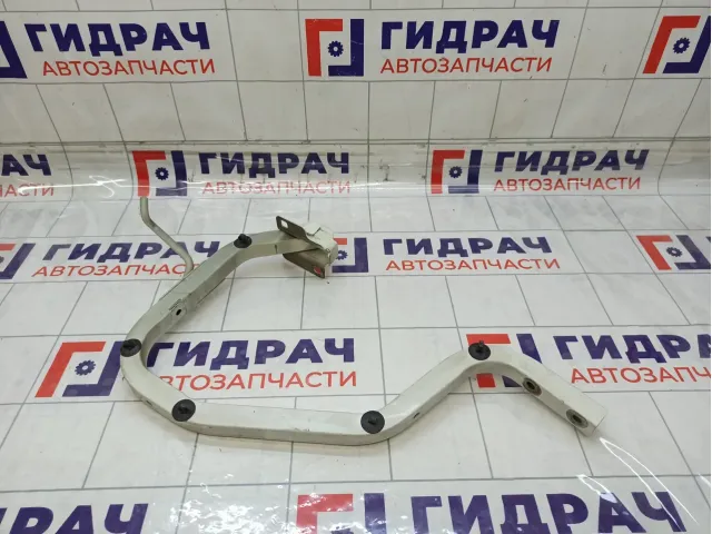 Петля багажника левая Renault Logan 904019455R