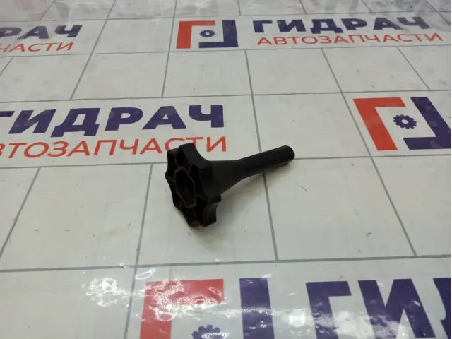 Крепление (болт) запасного колеса Renault Logan 7703041034