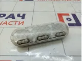Плафон салонный Renault Logan 8200073234