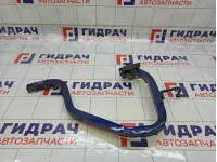 Петля багажника левая Renault Logan 904019455R