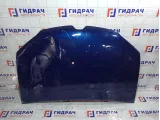 Капот Renault Logan 651002659R
