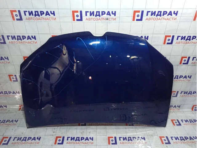 Капот Renault Logan 651002659R
