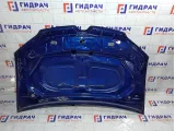 Капот Renault Logan 651002659R
