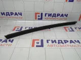Направляющая стекла двери задняя левая Renault Logan 822310474R