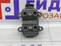 Катушка зажигания Renault Logan 224336134R