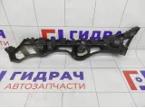 Кронштейн бампера заднего левый Renault Logan 850457099R