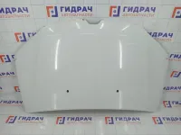 Капот Renault Logan 651002659R