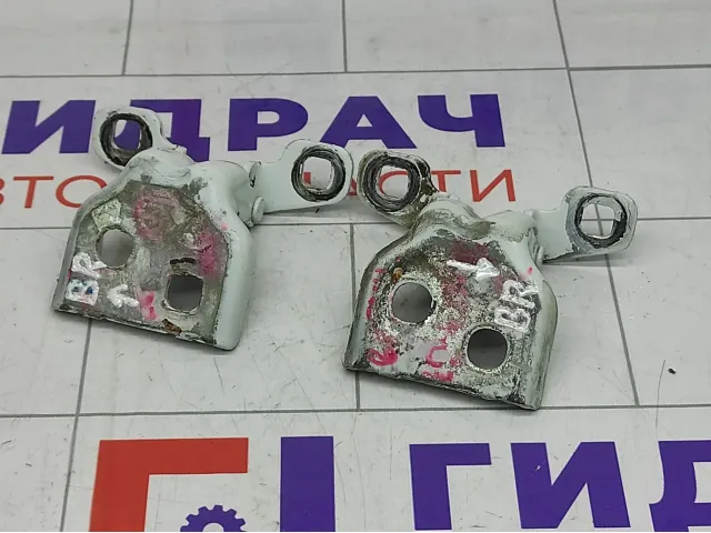 Петли двери задней правой Renault Logan