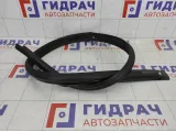 Уплотнитель двери на кузов левый Renault Logan 768617354R
