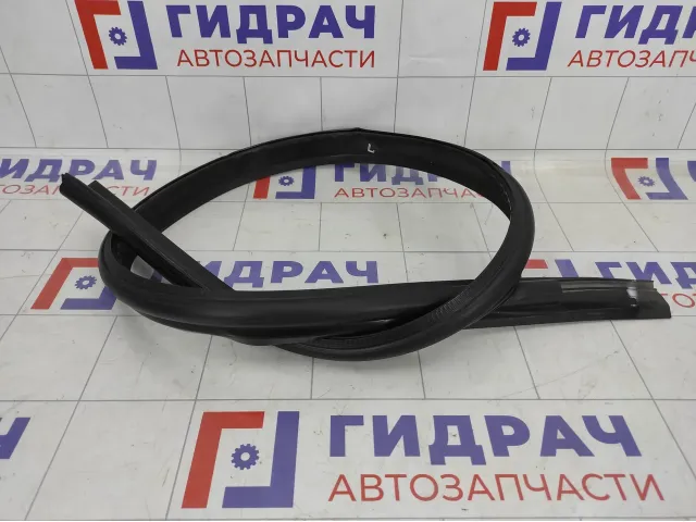 Уплотнитель двери на кузов левый Renault Logan 768617354R