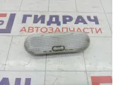 Плафон салонный Renault Logan 8200074362