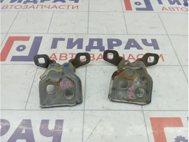 Петли двери задней правой Renault Logan