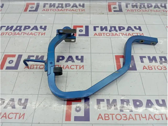 Петля багажника правая Renault Logan 904005571R