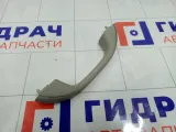 Ручка потолочная Renault Logan 8200845691