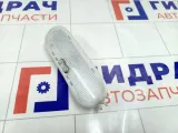 Плафон салонный Renault Logan 8200074362