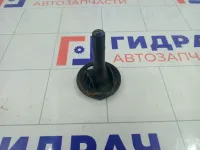 Крепление (болт) запасного колеса Renault Logan 849800001R