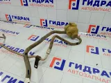 Бачок гидроусилителя в сборе Renault Logan 497173991R