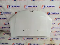 Капот Renault Logan 651224849R