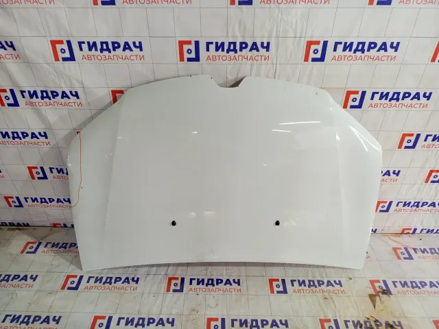 Капот Renault Logan 651224849R