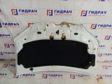 Капот Renault Logan 651224849R