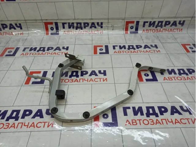 Петля багажника левая Renault Logan 904019455R