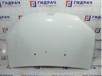 Капот Renault Logan 651002659R