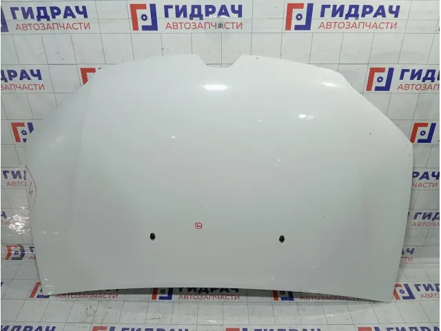 Капот Renault Logan 651002659R