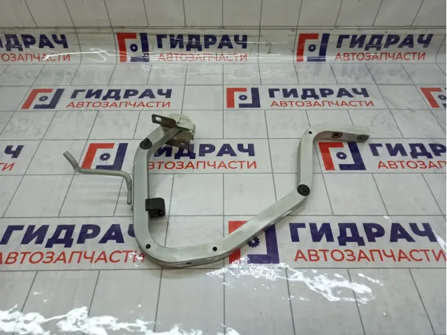 Петля багажника левая Renault Logan 904019455R