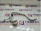 Петля багажника левая Renault Logan 904019455R