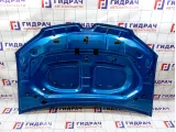 Капот Renault Logan 2 651001918R