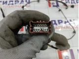 Проводка двери задней Renault Logan 2 241261402R
