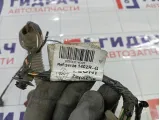 Проводка двери задней Renault Logan 2 241261402R
