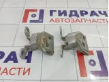 Петли двери передней правой Renault Logan 2