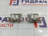 Петли двери передней правой Renault Logan 2