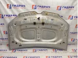 Капот Renault Logan 2 651002659R