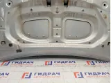 Капот Renault Logan 2 651002659R