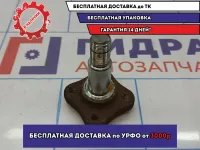 Цапфа Renault Logan 2 8200927687.