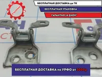 Петли двери передней левой Renault Logan 2 .