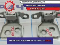 Петли двери задней правой Renault Logan 2 .