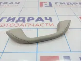 Ручка внутренняя потолочная Renault Logan 2 8200845691. Потертость.
