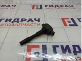 Катушка зажигания Renault Logan 2 224332428R
