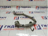 Петля крышки багажника левая Renault Logan 2 904019455R