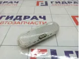 Плафон салонный Renault Logan 2 8200074362