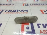 Плафон салонный Renault Logan 2 8200074362