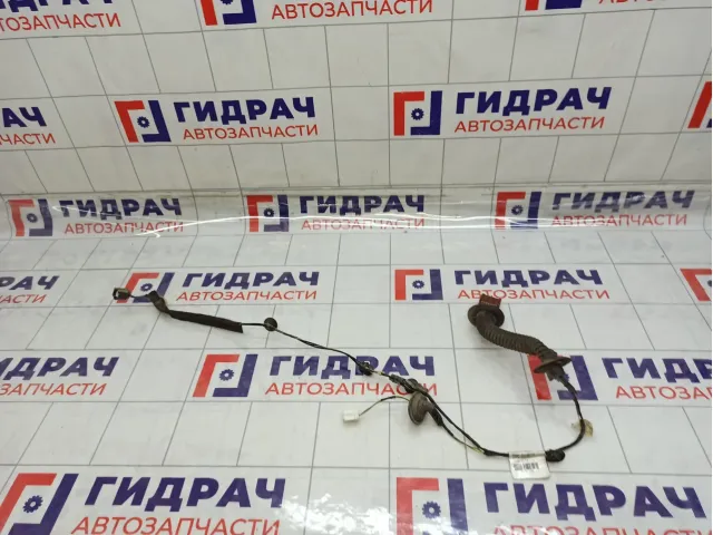 Проводка задней двери Renault Logan 2 241261266R