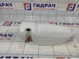 Бачок омывателя лобового стекла Renault Logan 2 289100401R.