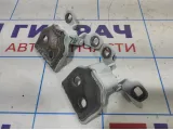 Петли двери задней левой Renault Logan 2 6001546883. Комплект.