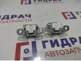 Петли двери передней левой Renault Logan 2 6001546883. Комплект.